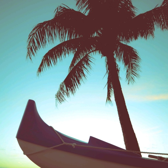 Meet your Posher, Vera - Picture 1 of 1